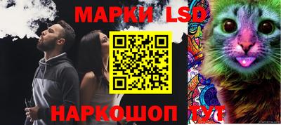 PSILOCYBIN Бугуруслан