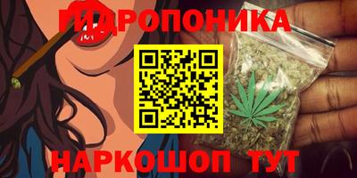 винт Будённовск