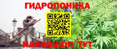 винт Будённовск