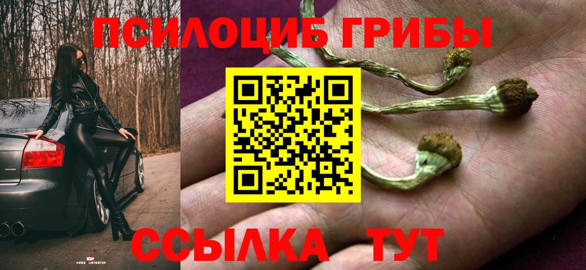 Псилоцибиновые грибы Magic Shrooms Рязань